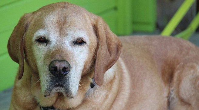 expert marksman tamara madison Max Pixel