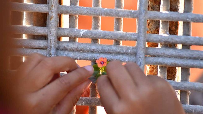 Border-Fence-Opening-2017-13