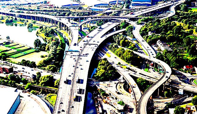 Invasive Species Tamara Madison