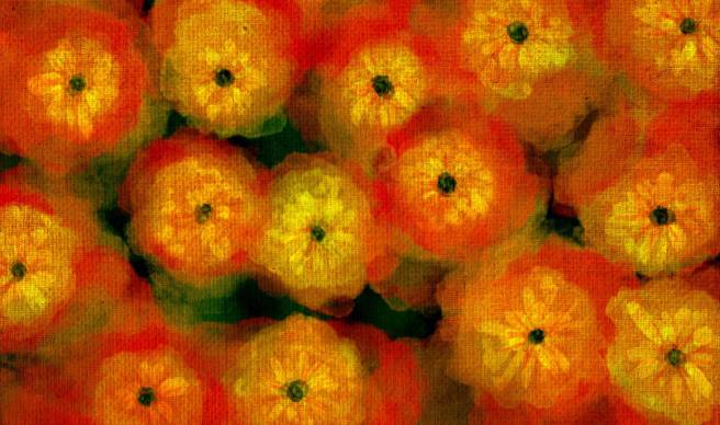 flowers_by_frogstar_23_dcd3rml-pre