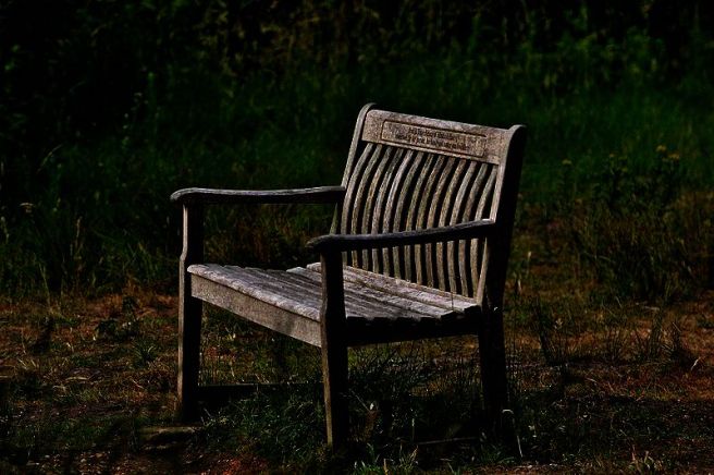 800px-Park_bench_-Lackford_Lakes,_Suffolk,_England-30July2010