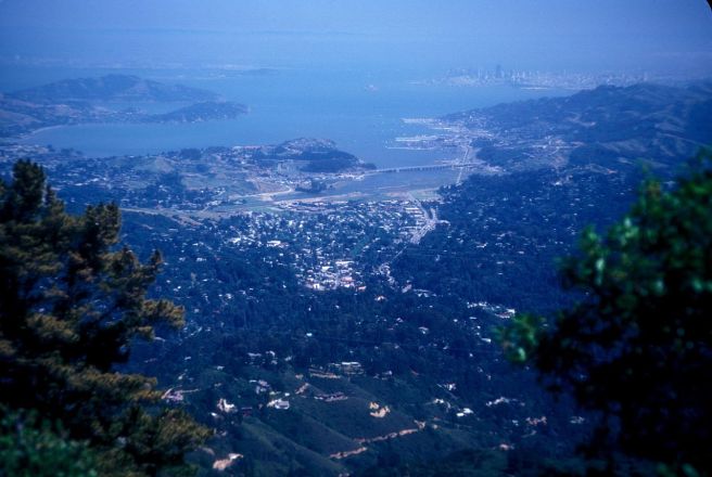 1280px-MT._TAMALPAIS_STATE_PARK,_MARIN_COUNTY,_CA