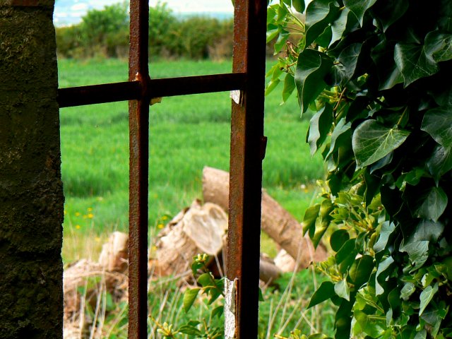 Inside_looking_out_of_another_window,_Nebo_Farm,_Clyffe_Pypard_-_geograph.org.uk_-_414422